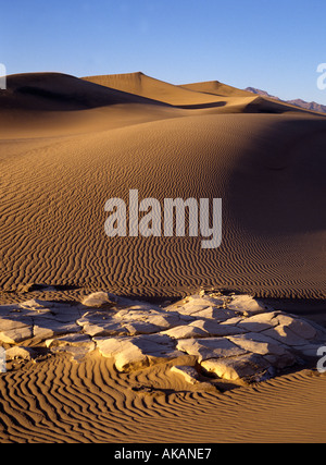 Le dune di sabbia in Death Valley California degli Stati Uniti America Foto Stock