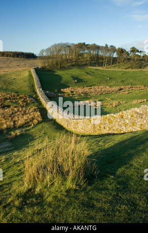 Una sezione del Muro di Adriano, una fortificazione difensiva romana, vicino alle Housesteads in Northumberland, Regno Unito Foto Stock