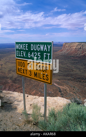 Moki Dugway sale o scende a migliaia di piedi di Cedar Mesa nelle sue due o tre miglia attraverso una serie di stretti tornanti Foto Stock