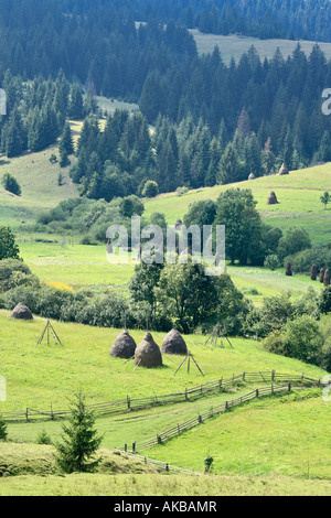 Carpazi, Zakarpattia Oblast, Transcarpathia, Ucraina Foto Stock