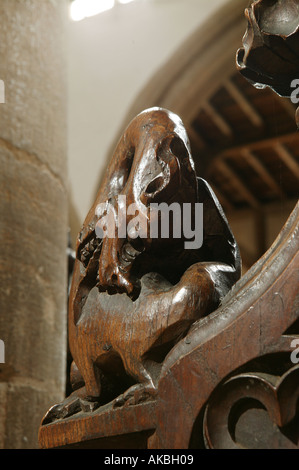 Dragon su un banco fine, la chiesa di St Mary, Mendlesham, Suffolk Foto Stock