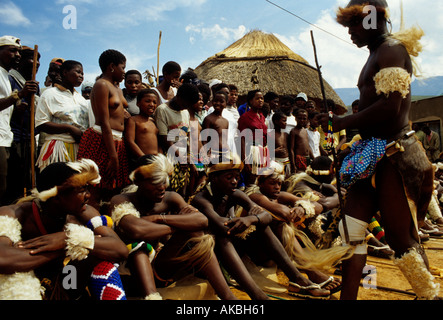 La gente del posto di eseguire la tradizionale danza Zulu Foto Stock