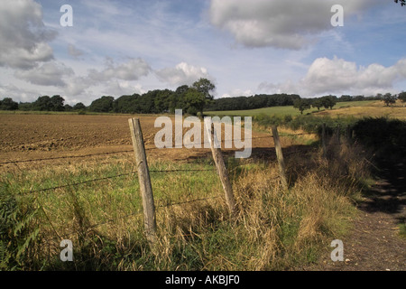 Una vista attraverso i campi in Surrey tarda estate Foto Stock