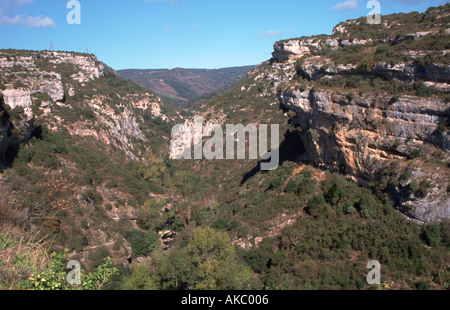 L'essiccato fino sulla gola del fiume intorno allo storico fortificato Paese Cataro di, Minerve, Herault 34, Languedoc-Roussillon, Francia Foto Stock