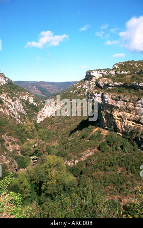 L'essiccato fino sulla gola del fiume intorno allo storico fortificato Paese Cataro di, Minerve, Herault 34, Languedoc-Roussillon, Francia Foto Stock