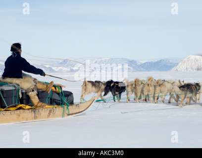 Qaanaaq Groenlandia Aprile 2006 Qulitat con il suo cane team, uno dei più veloci nel villaggio Foto Stock