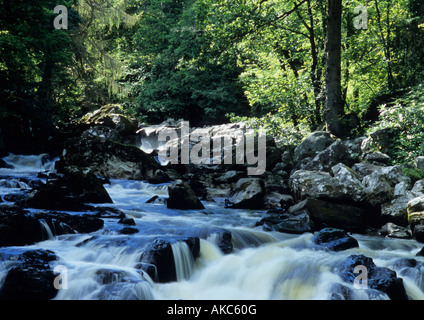 Il fiume Braan presso l'eremo vicino a Dunkeld in Perthshire,Scozia,UK Foto Stock