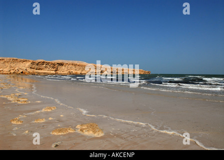 Parco nazionale di Banc d'Arguin sulla costa atlantica Mauritania Foto Stock