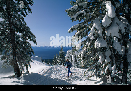 Cross country sciatore, a nord del lago di Tahoe vicino a Punta di diamante Foto Stock