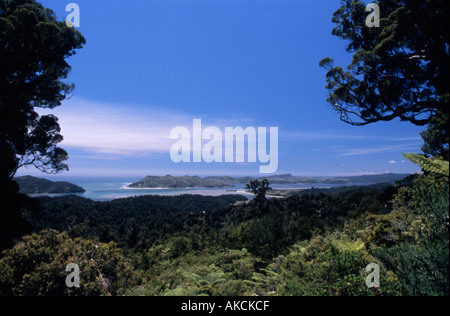 Insenatura costiera a sud del porto di Wharariki Beach Golden Bay Nuova Zelanda Foto Stock