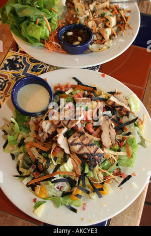 Miami Florida, Aventura, Chili's Grill and Bar, pub, ristorante ristoranti, ristoranti, ristoranti, ristoranti, ristoranti, ristoranti, ristoranti, bar, bistrot, insalata di pollo alla griglia, piatto, piatto, dres Foto Stock