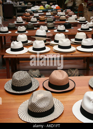 Panama cappelli in vendita presso una fabbrica a Montecristi, Ecuador, dove la migliore qualità di cappelli sono prodotte e il centro dell'industria. Foto Stock