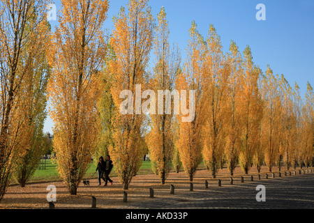 France Ile de France Versailles gardens Foto Stock