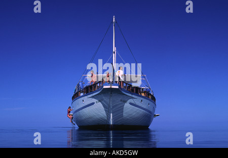 'Sarah 1', un diving vivere a bordo. Atollo di Ari, Maldive. Foto Stock