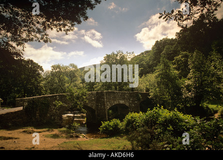 Fingle Bridge ponte ad arco sul fiume Teign vicino a Drewsteignton Dartmoor Foto Stock