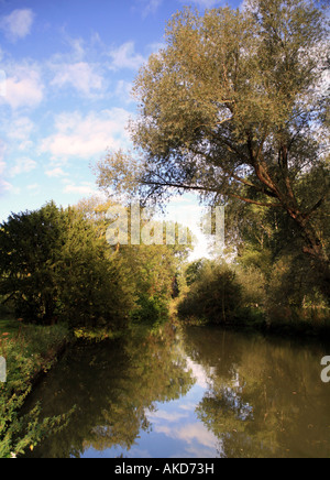 Una vista del fiume Cherwell accanto all'Università di parchi a Oxford Inghilterra Foto Stock