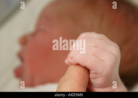 Neonato Boy s mano MR Foto Stock