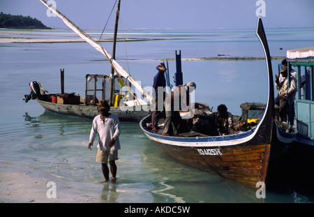Dhonis, tradizionale maldiviano barche da pesca. Isola di Meerufenfushi, North Male Atoll, Maldive. Foto Stock