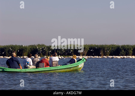 I turisti sul Lago Uzlina sul birdwatching trip, il Delta del Danubio, Romania Foto Stock