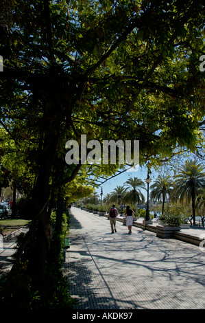 Spagna Andalusia Siviglia Paseo Alcalde Marques del Contadero sul Rio Guadalquivir Bank Foto Stock