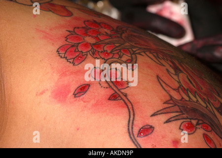 Tatuaggio fresco su un uomo con la schiena di fiori di ciliegio e un grande drago Foto Stock