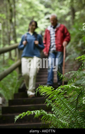 Donna di mezza età e senior uomo sul sentiero nella foresta, concentrarsi su felce in primo piano Foto Stock