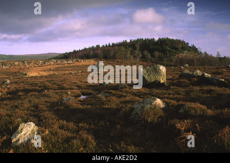 Inghilterra Northumberland Rothbury open moorland delle terrazze Rothbury un popolare sopt per locali e visitare gli scuotipaglia Foto Stock