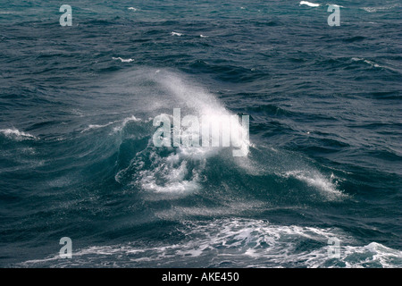 Antartico cruiseship incontra il mare in tempesta nella famigerata Drake's passaggio Foto Stock