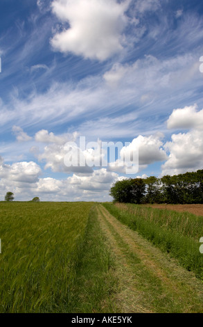Angoli modo sentiero in Norfolk, Regno Unito Foto Stock