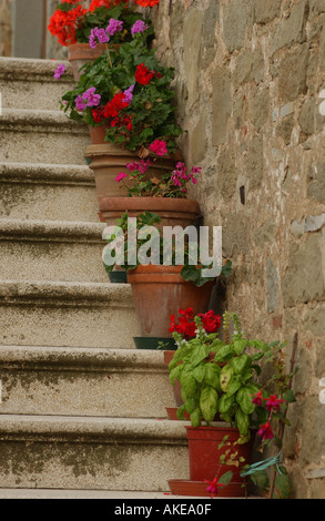 Piante da fiore in vasi di terracotta il rivestimento di una scala in Chianti, Toscana Italia Foto Stock