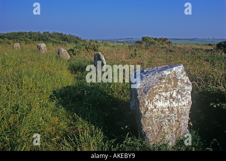 Boscawen onu cerchio di pietra nelle vicinanze del Lands End è 25 piedi attraverso e contiene un insolito pietra di quarzo Foto Stock