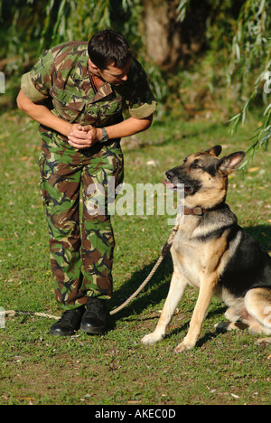 Esercito britannico Gestore del cane e il suo alsaziano durante un allenamento quotidiano di routine Foto Stock