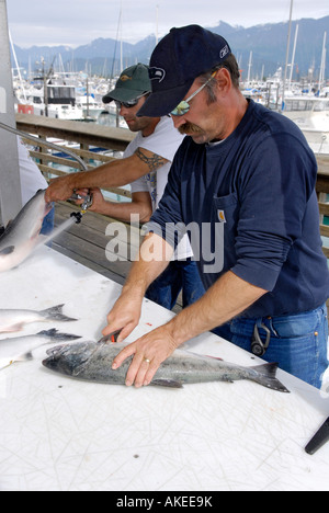 Pulizia del pesce charter di pesca pubblici Area Dock Boat Harbour Seward Alaska AK U S Stati Uniti Kenai Peninsula risurrezione Bay Foto Stock