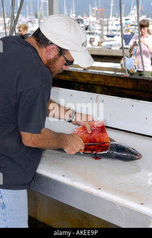 Pulizia del pesce charter di pesca pubblici Area Dock Boat Harbour Seward Alaska AK U S Stati Uniti Kenai Peninsula risurrezione Bay Foto Stock