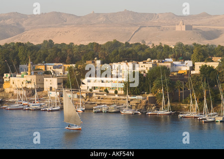 Faluka,barca a vela sul fiume Nilo ad Aswan. Elephant Island. Foto Stock