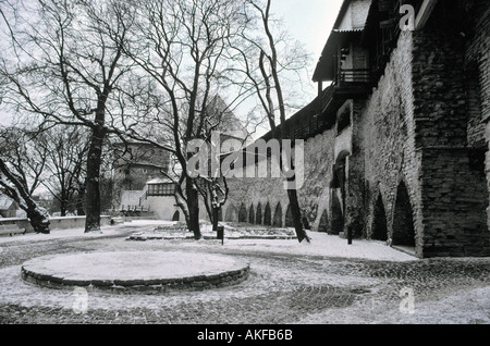 Il Giardino del Re danese Foto Stock