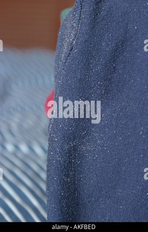 Forfora sulla Le Mans vestiti intorno alla zona del collare di un maglione Foto Stock