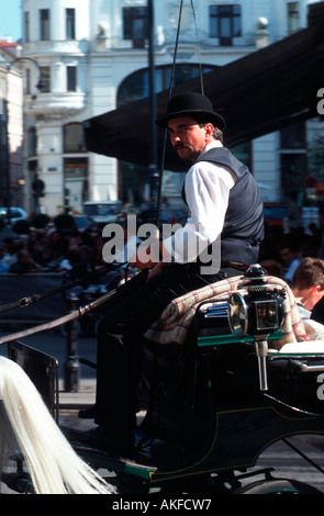 Österreich, Wien I, Fiaker am Lugeck Foto Stock