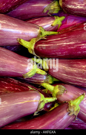 Viola e bianco striato melanzane pranzo insieme. Foto da Jim Holden. Foto Stock