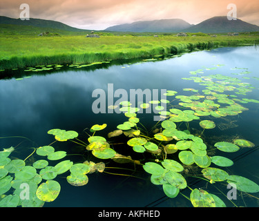 IE - Connemara: Ahalia fiume al Maam Cross Foto Stock