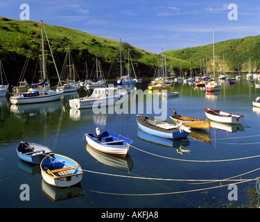 GB - GALLES: Il porto di Solva, Pembrokeshire Foto Stock