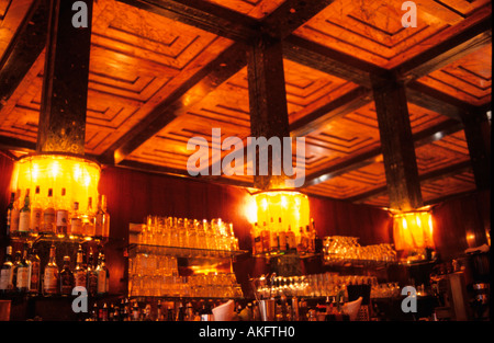 Österreich, Wien, Kärtner Durchgang, Loos-Bar Foto Stock