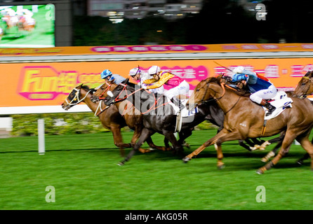 Una gara molto combattuta con 5 fantini avvicinando al traguardo al tempo stesso all'Ippodromo Happy Valley di Hong Kong. Foto Stock