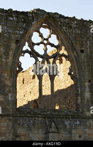 Dettaglio della finestra in Easby Abbey Richmond North Yorkshire England Regno Unito Foto Stock