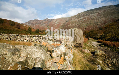 Selvaggia e aspra bellezza della valle Langstrath Borrowdale nel Parco nazionale del Lake District Cumbria Foto Stock