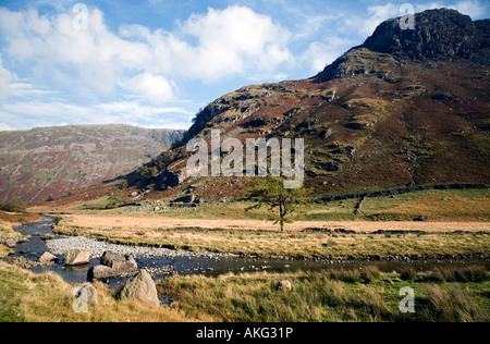 Selvaggia e aspra bellezza della valle Langstrath Borrowdale nel Parco nazionale del Lake District Cumbria Foto Stock