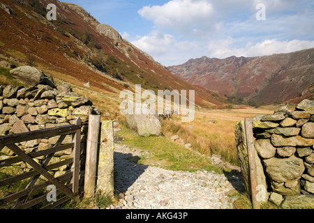 Selvaggia e aspra bellezza della valle Langstrath Borrowdale nel Parco nazionale del Lake District Cumbria Foto Stock