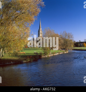 La Cattedrale di Salisbury dall'acqua prati Foto Stock