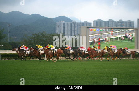 Fantini avvicinando al traguardo a Sha Tin racecourse in HK. Contemporaneamente è possibile visualizzare la gara su un enorme schermo. Foto Stock