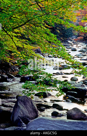 L'acqua scorre su rocce di una giornata autunnale in New Hampshire Foto Stock